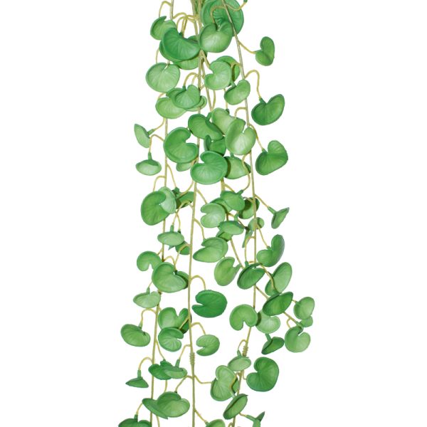 Coin Leaf Hanging Plant 90 cm