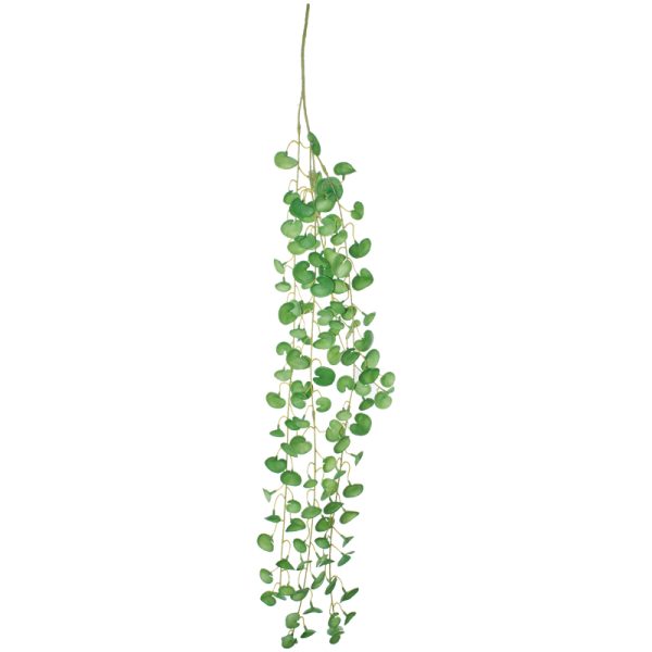 Coin Leaf Hanging Plant 90 cm