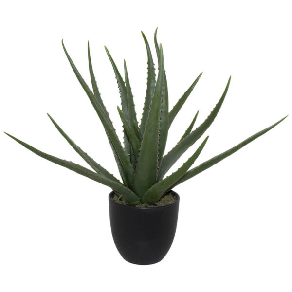 Pot with Aloe 47 cm