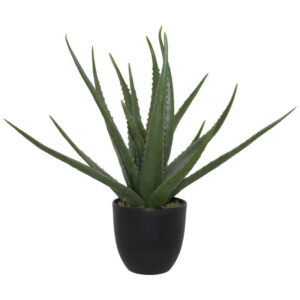 Pot with Aloe 47 cm