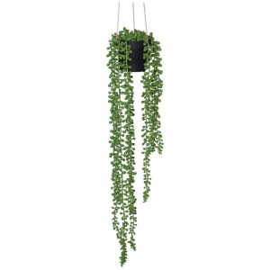 Hanging Donkey's Tail 60 cm