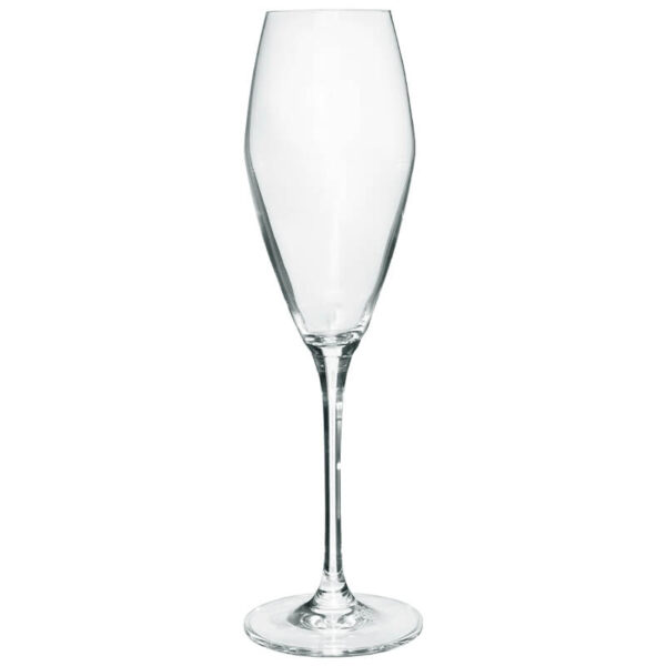 Social Flute Glass 300 ml