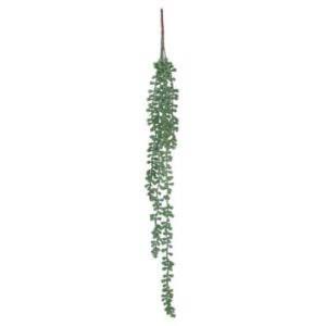 Gem Succulent String 60 cm