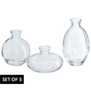 Posy Vase Clear Set