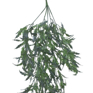 Hanging Hemp Plant 80 cm