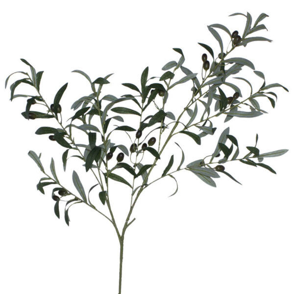 Olive Branch 100 cm