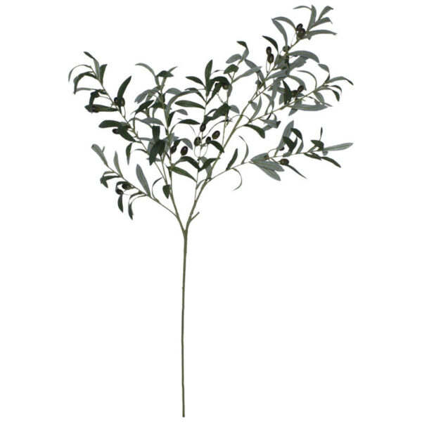 Olive Branch 100 cm