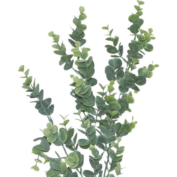 Eucalyptus Twig 85 cm