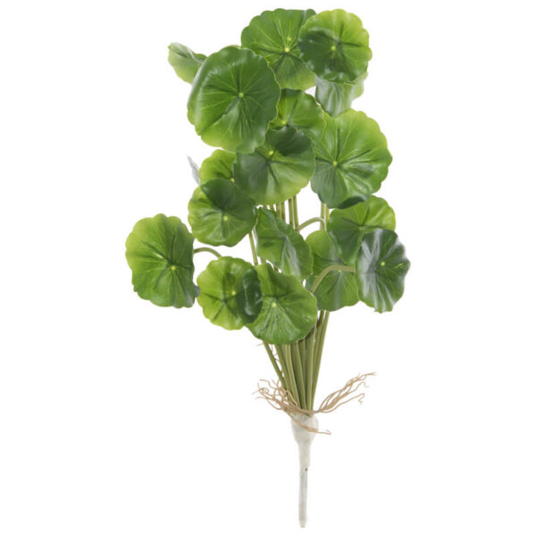 Money Plant Stalk 37 cm