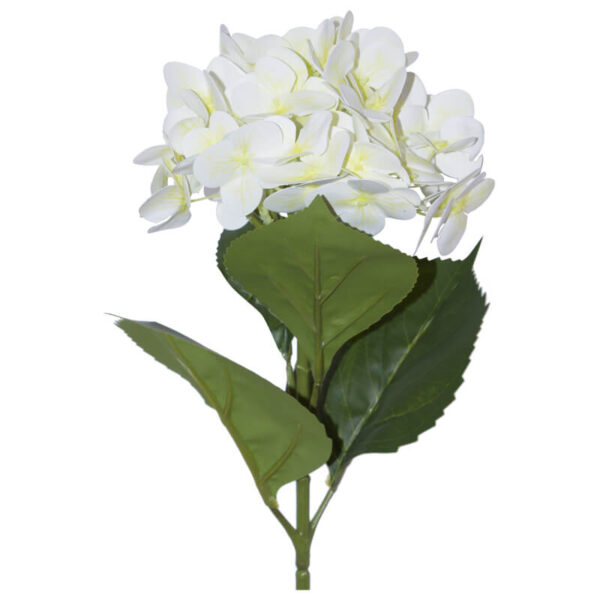 Cream Hydrangea Stalk 68 cm