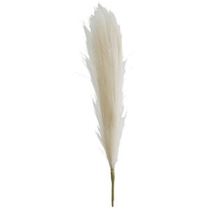 Pampas - Off-White Grass 44 cm