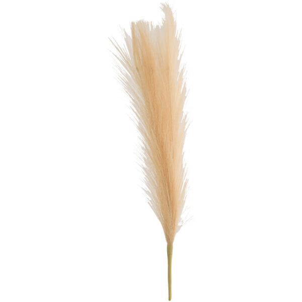 Natural Pampas Grass 44 cm