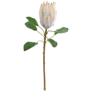 Soft Peach Protea 57 cm