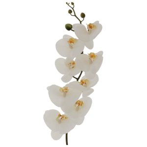 White Orchid Stem 88 cm