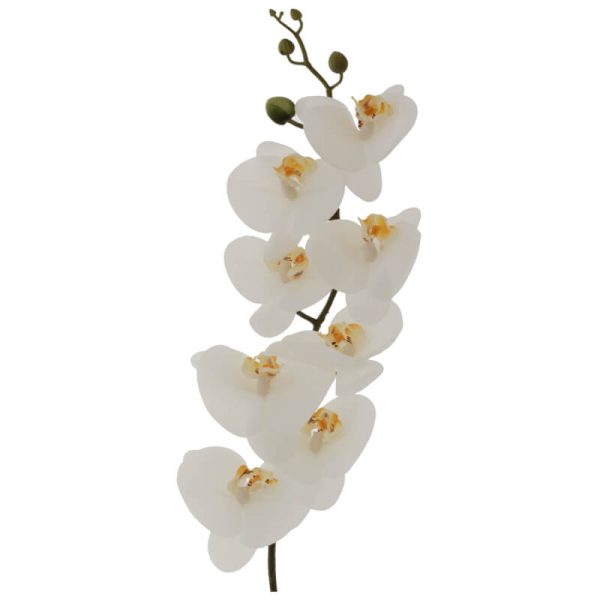 White Orchid Stem 88 cm