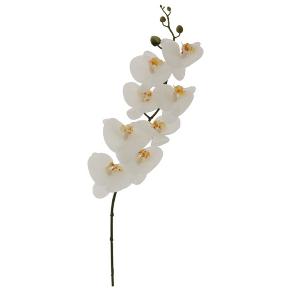 White Orchid Stem 88 cm