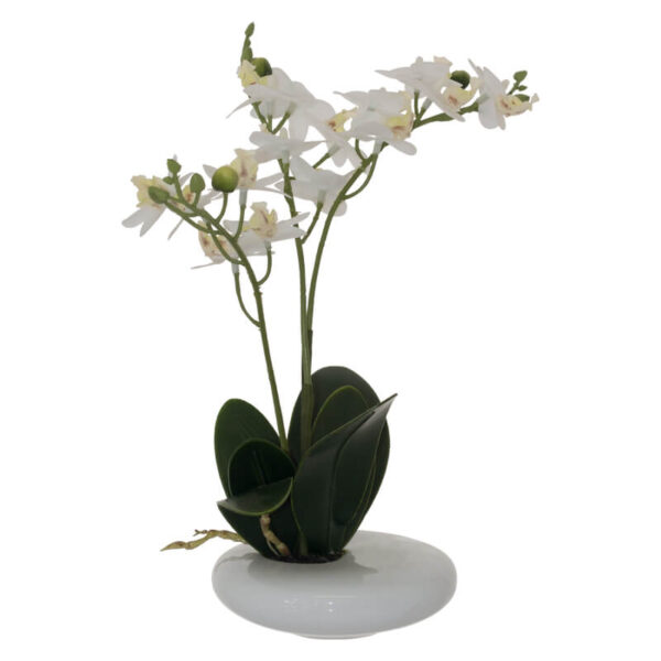 White Real Touch Orchid 30 cm