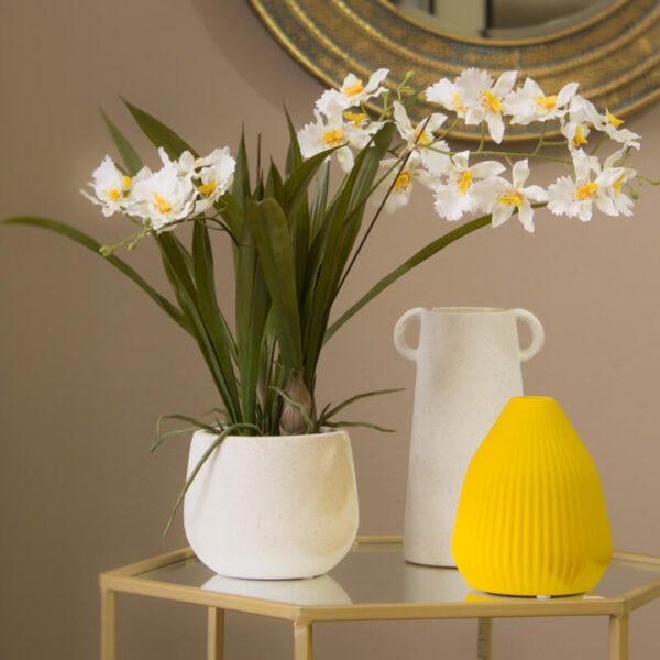 White Butterfly Orchid 46 cm