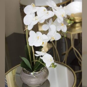 White Orchid in Copper Pot 53 cm