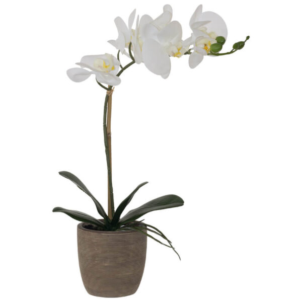 White Real Touch Orchid 51 cm