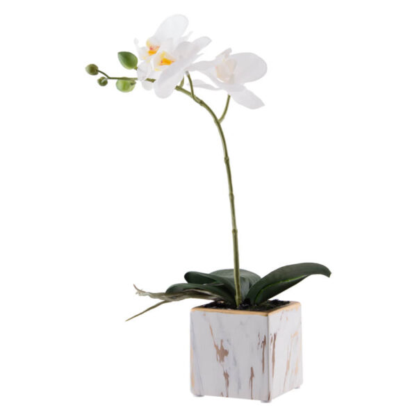 White Orchid in Marble Pot 33 cm