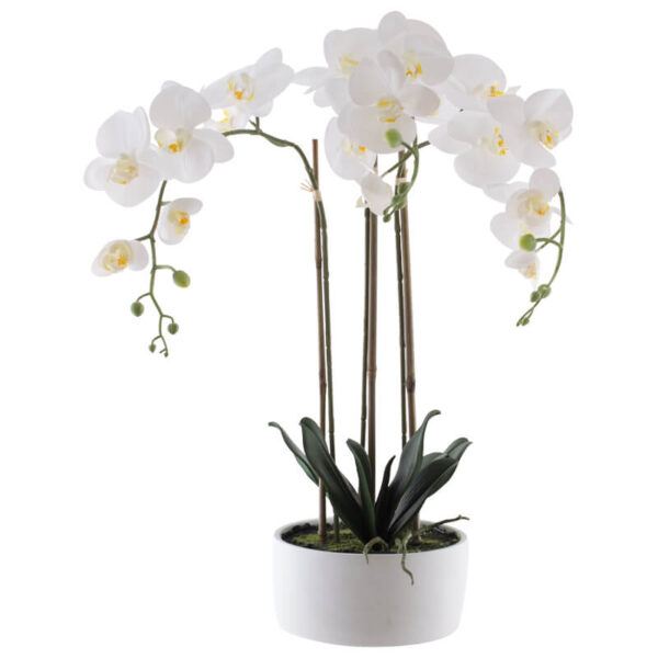 Real Touch White Orchid 60 cm