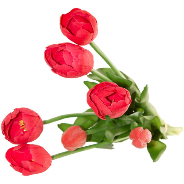 Red Tulips Spritz 43 cm