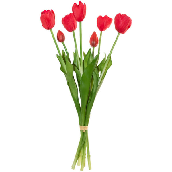 Red Tulips Spritz 43 cm