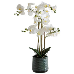 White Orchid in Grey Pot 71 cm