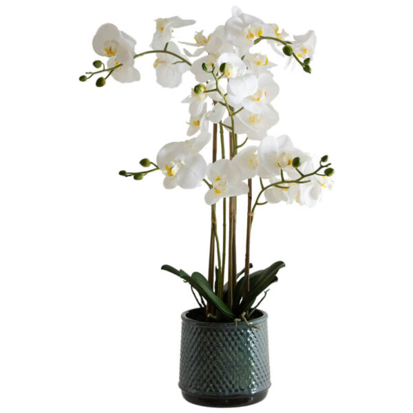 White Orchid in Grey Pot 71 cm