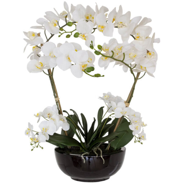 Real Touch White Orchid 64 cm