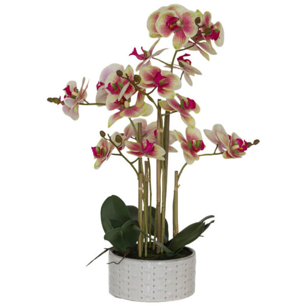 Rusty Real Touch Orchid 58 cm