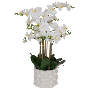 White Real Touch Orchid 71 cm