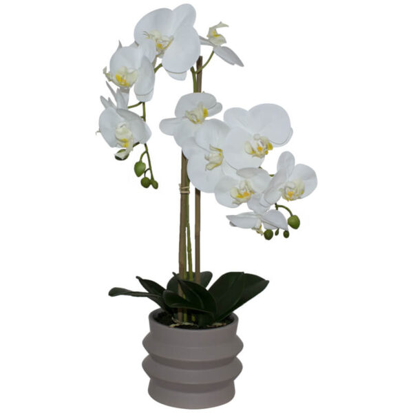 Real Feel White Orchid 58 cm