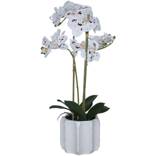 Speckled Real Touch Orchid 53 cm