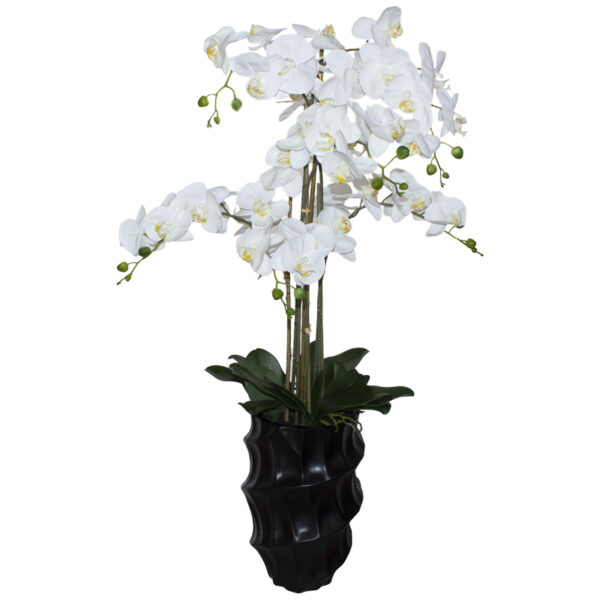 White Orchid in Black Pot 110 cm