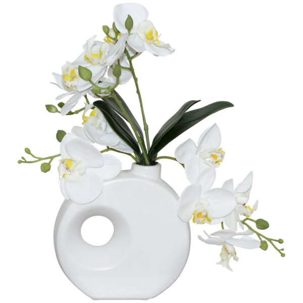 White Orchid in White Pot 41 cm