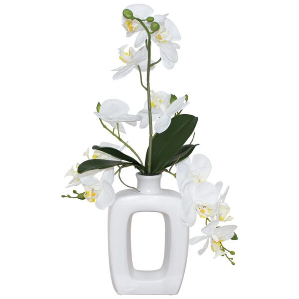 White Orchid in White Vase 50 cm