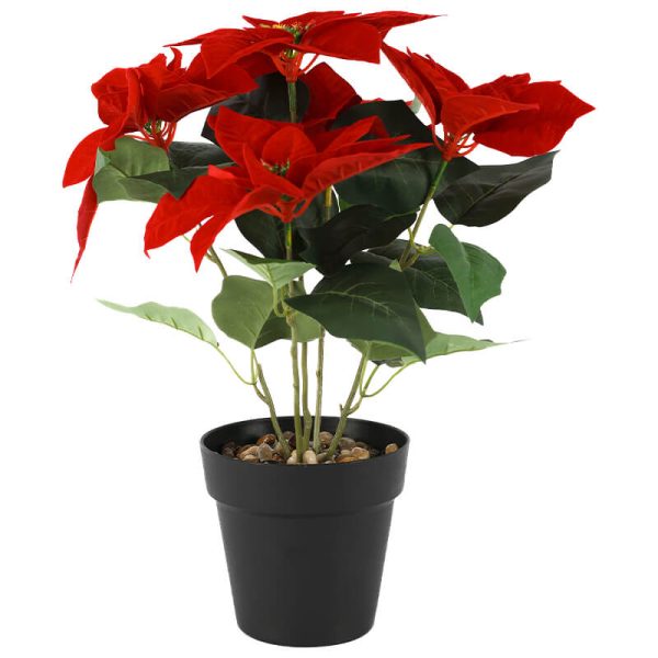 Christmas Flower in Pot 41 cm