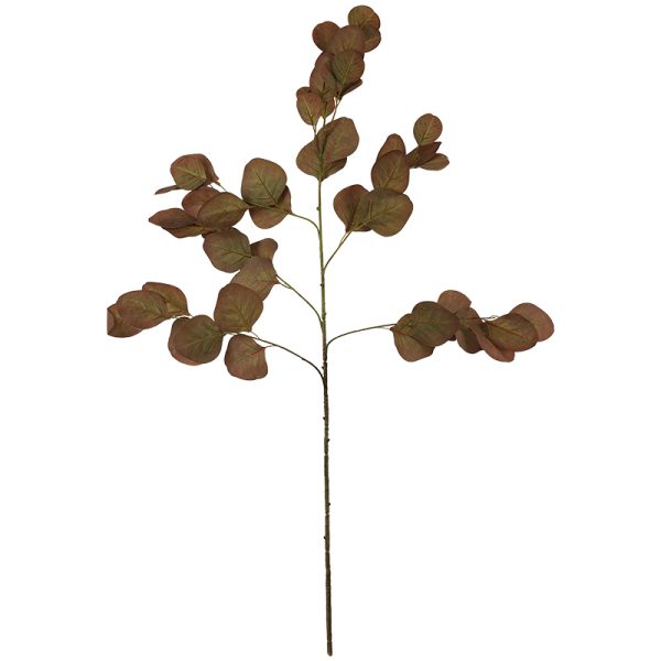 Gum Tree Stem 88 cm