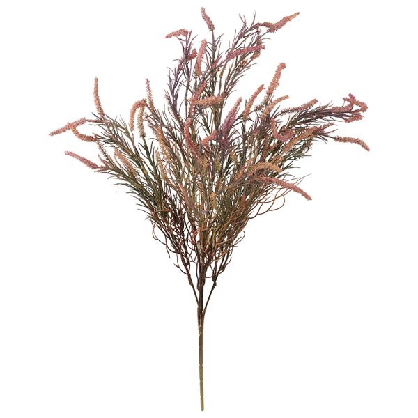 Pink Heath 65 cm