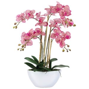 Magenta Orchid in Pot 66 cm