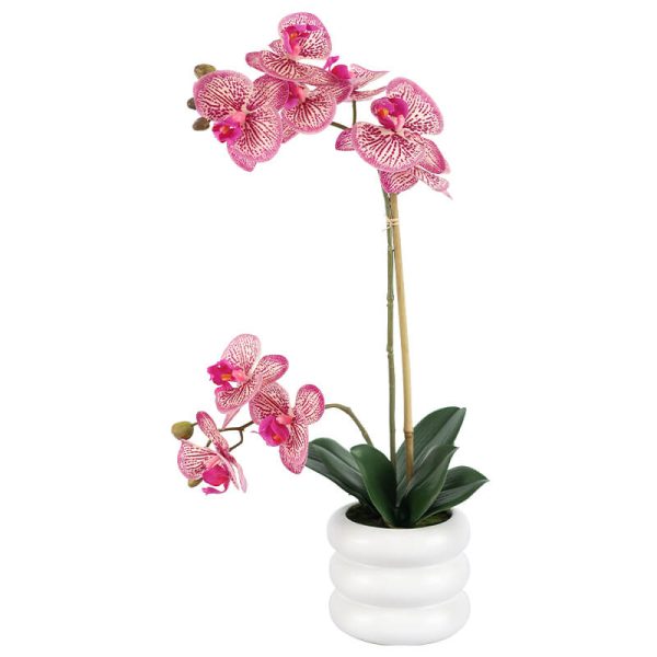 Magenta Orchid in Pot 51 cm