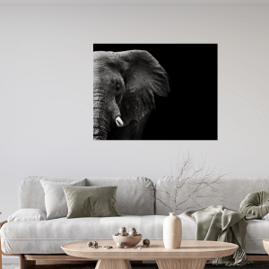 Wildlife Canvas No 1 - Paramount Mirrors and Prints