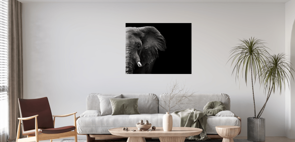 Wildlife Canvas No 1 - Paramount Mirrors and Prints